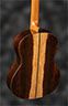 Brasilian Rosewood Back