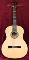 Brasilian rosewood guitar front view