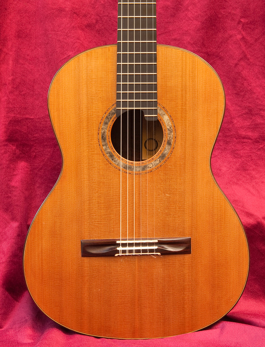 Guitar Front View