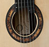 Nov-2021-Cutaway-Rosette-Cropped