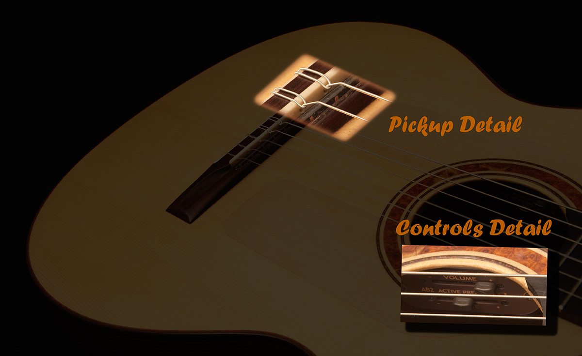 Collage of Cutaway Guitar with pickup